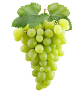 Vindruvor